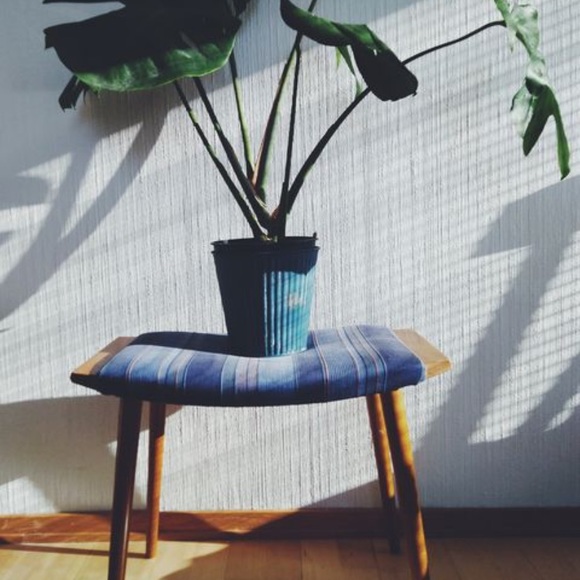 Meet your Posher, Maritza - Picture 1 of 1